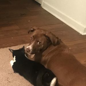 Meet your Posher, Olivia